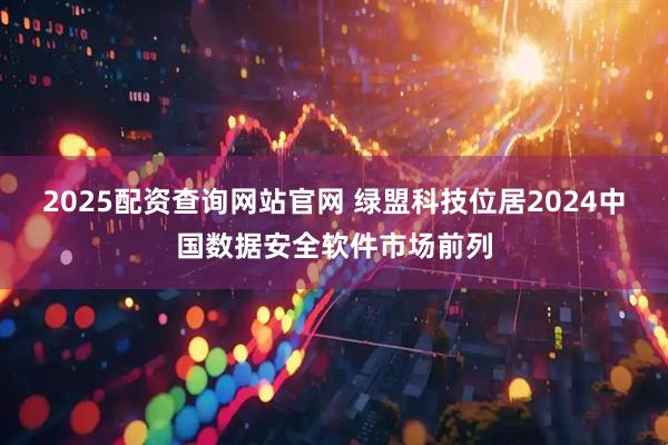 2025配资查询网站官网 绿盟科技位居2024中国数据安全软件市场前列